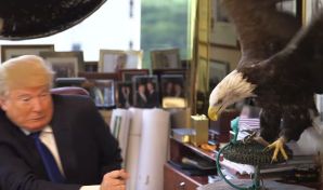 trump eagle